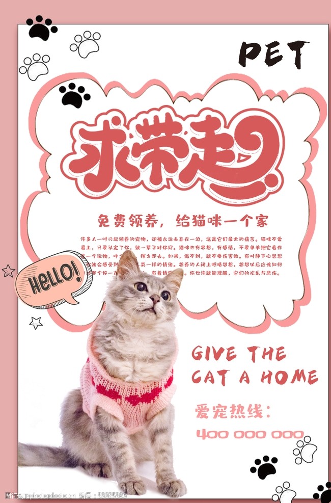宠物猫宠物海报
