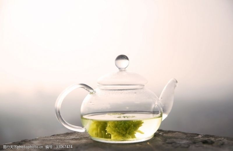 摘茶菊花茶