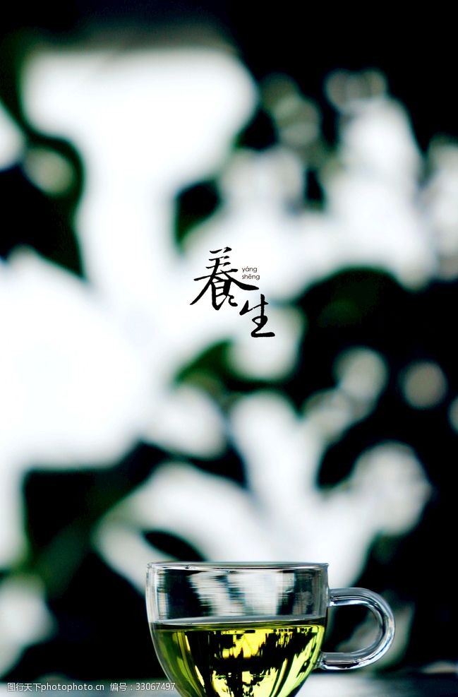 摘茶菊花茶