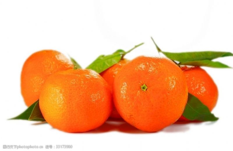 大红袍橘子