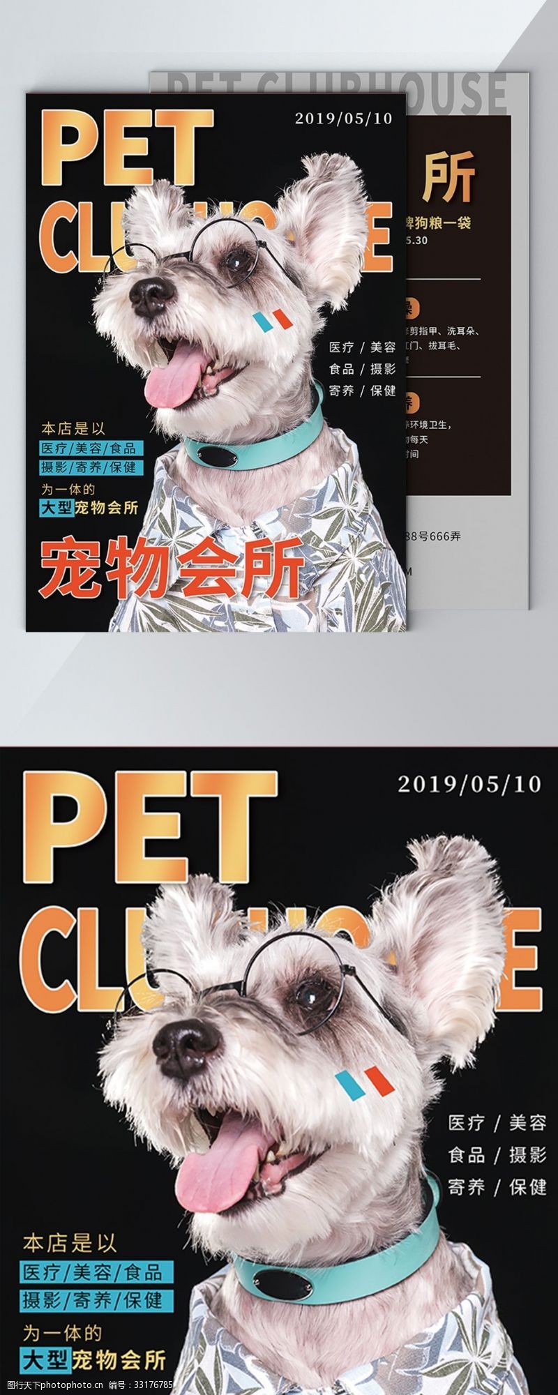 宠物店海报可爱宠物单页杂志