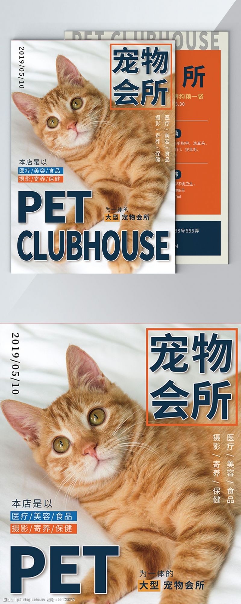宠物店海报时尚猫咪宠物单页