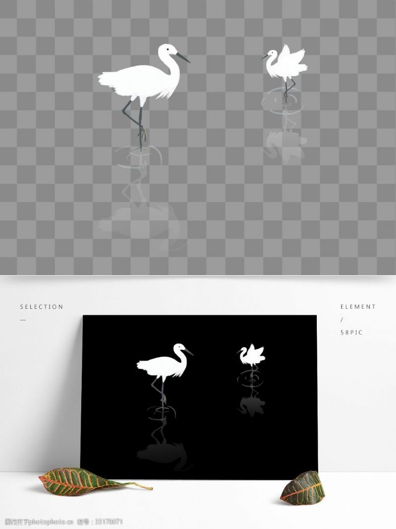 手绘白鹤设计元素