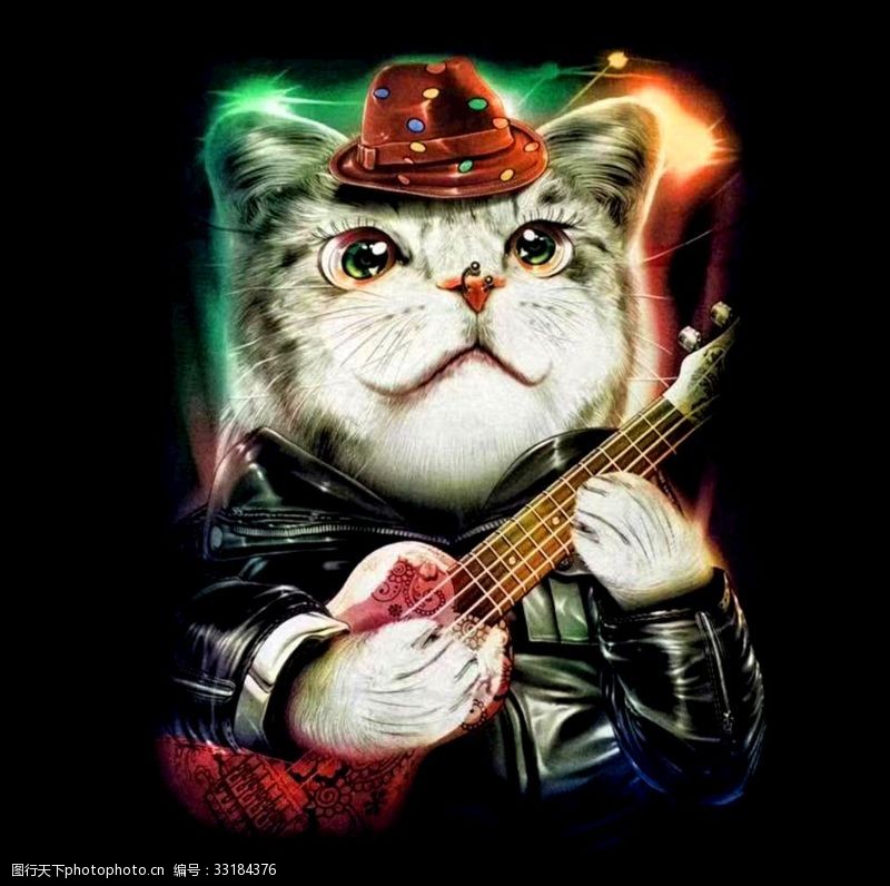 琴码弹小提琴的猫