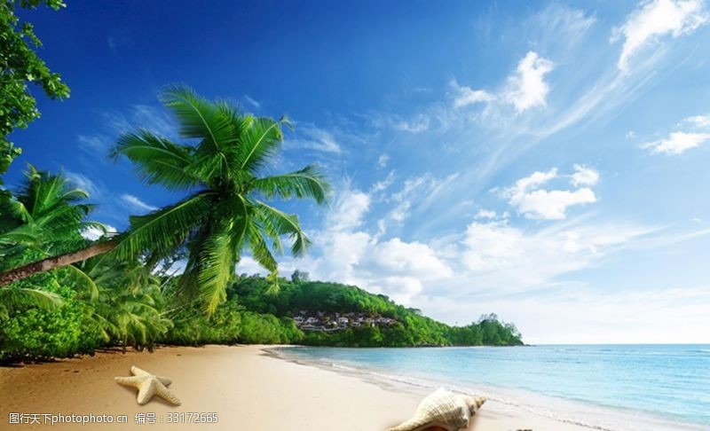 海边风景椰树沙滩背景墙