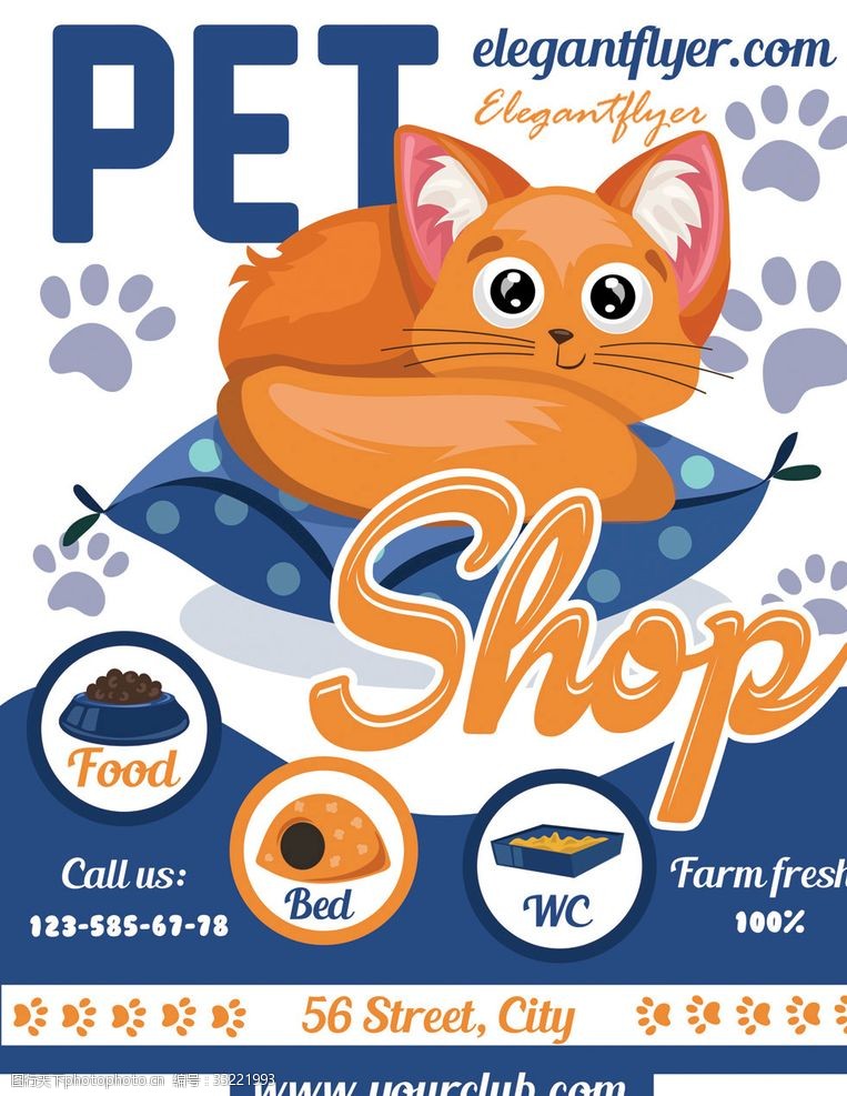 宠物店海报宠物店宠物猫广告海报