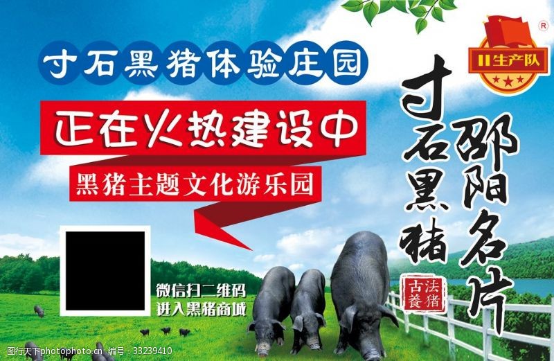 农业名片黑猪养殖场建设中海报