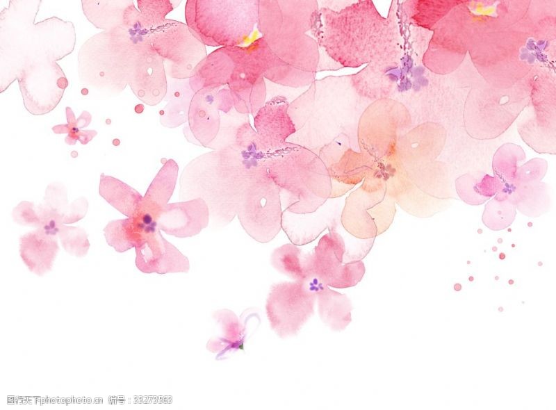 粉红色樱花花朵背景
