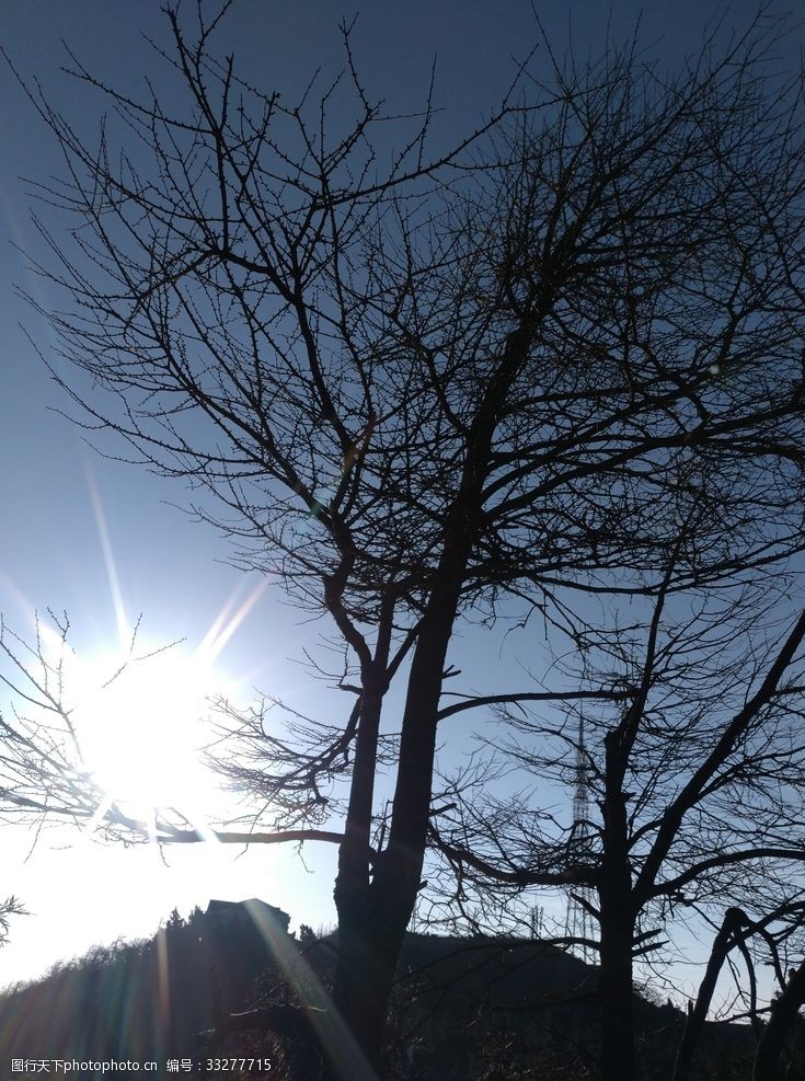 朝阳风景图片免费下载 朝阳风景素材 朝阳风景模板 图行天下素材网