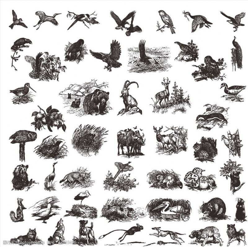 冰雕动物黑白素描动物图案