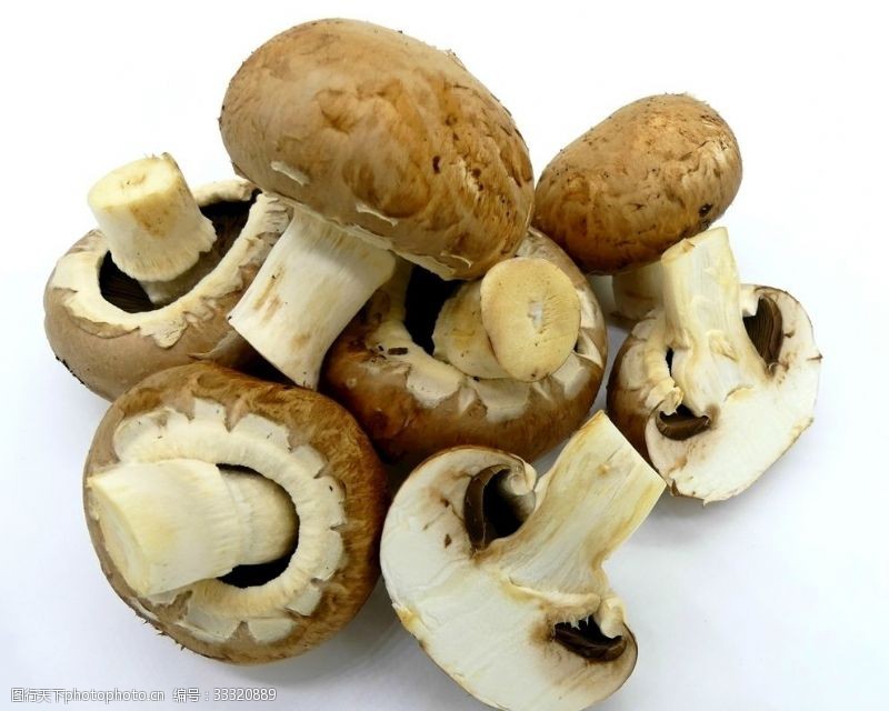 蘑菇小屋蘑菇
