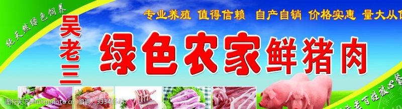 农家土猪肉猪肉海报