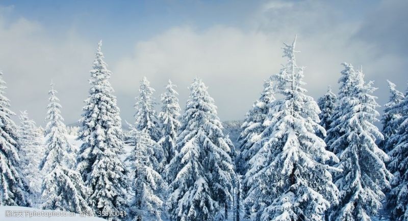 雪壁纸图片免费下载 雪壁纸素材 雪壁纸模板 图行天下素材网