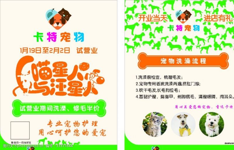 宠物店海报宠物店彩页