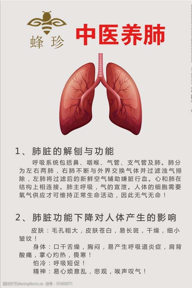 肝血中医养肺