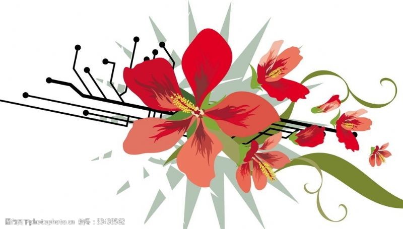 美容海报矢量素材花朵
