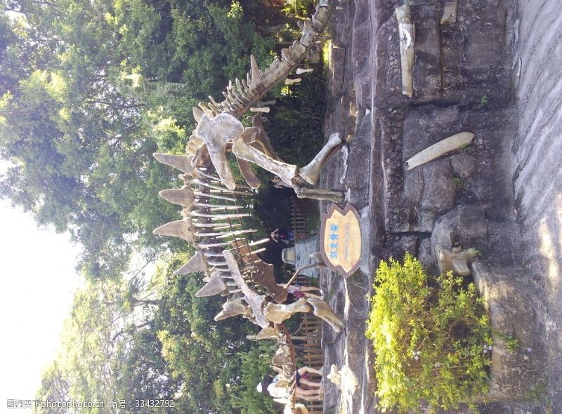侏罗纪公园恐龙骨架