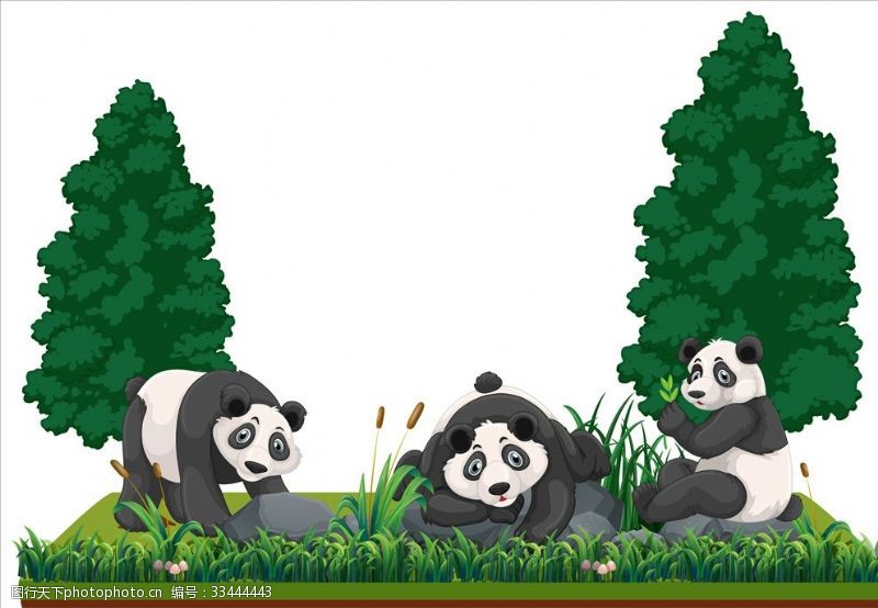 宠物店海报熊猫