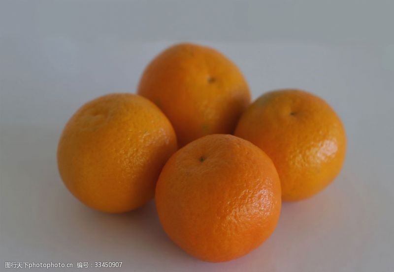 枳橘子