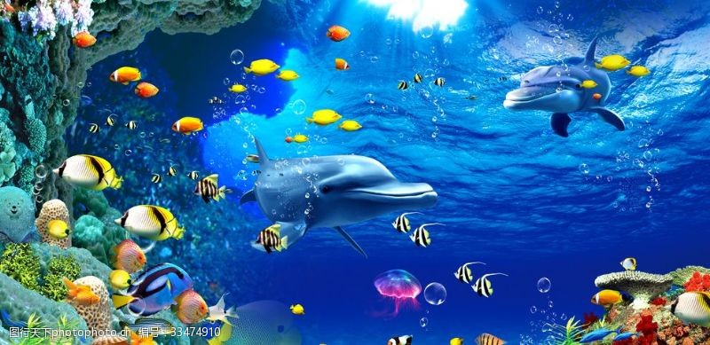 3d海豚海底