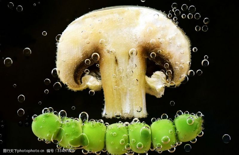 凤尾菇香菇