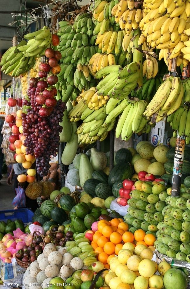 绿色蔬菜展架素材水果合集