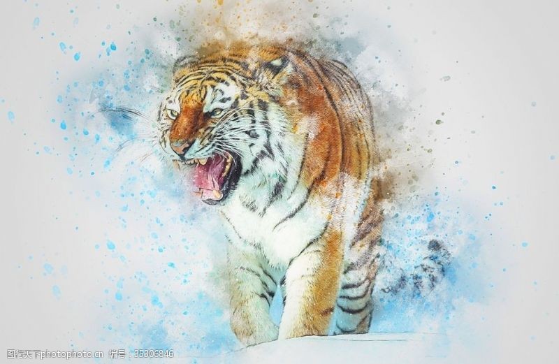 虎素材图片免费下载 虎素材素材 虎素材模板 图行天下素材网