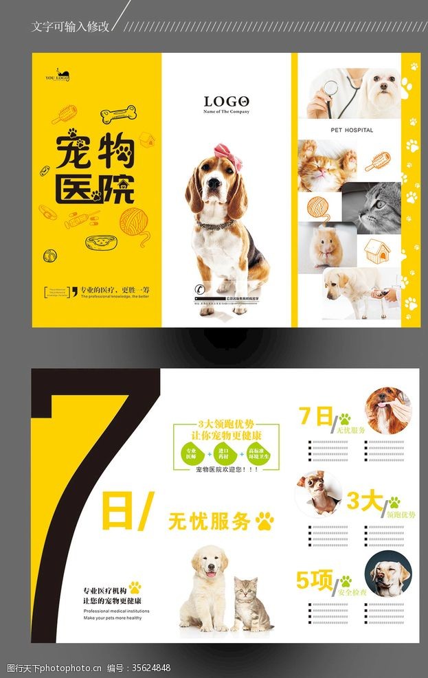宠物店彩页宠物三折页