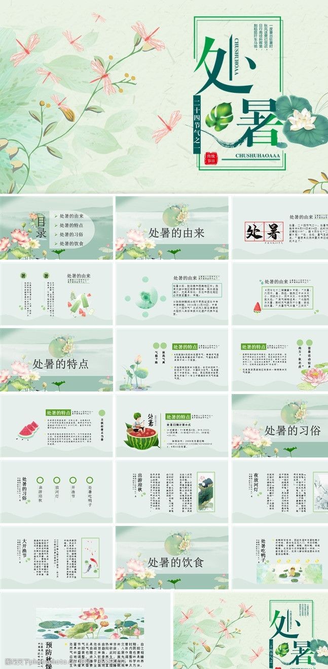 处暑绿色小清新传统节日二十四节